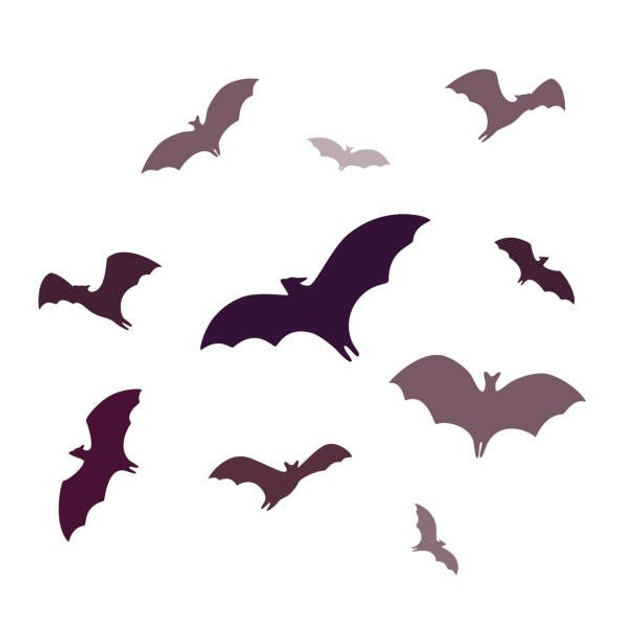 Boucles d'oreilles Bat