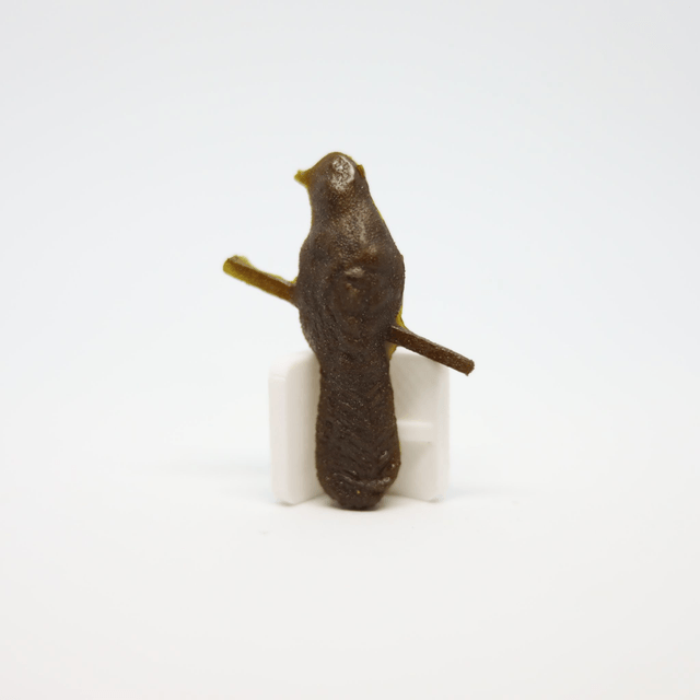 Broche Little Finger