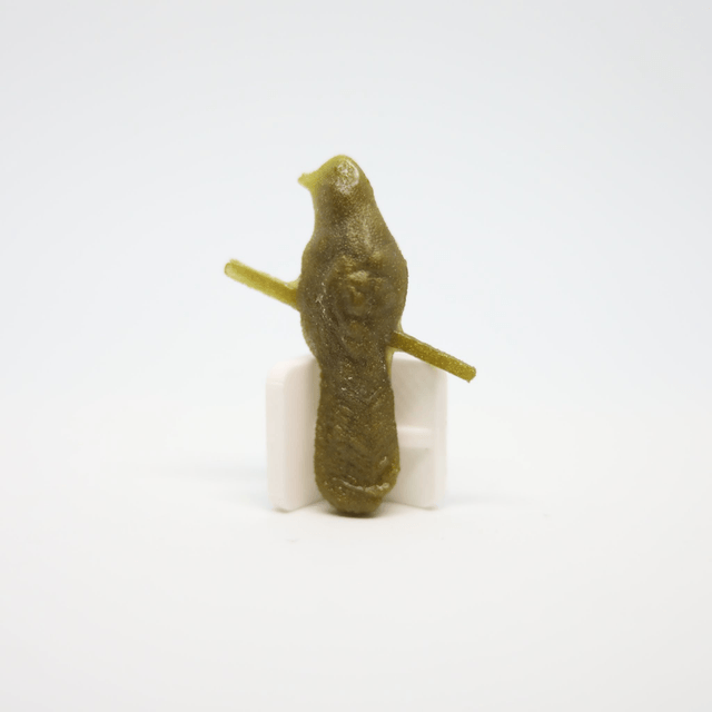 Broche Little Finger
