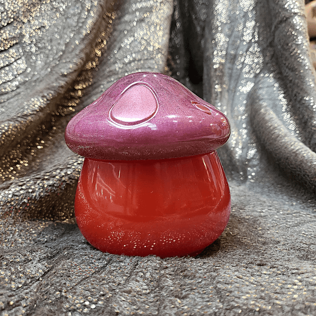 Boîte Champignon