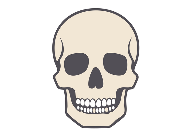 Collier Skull