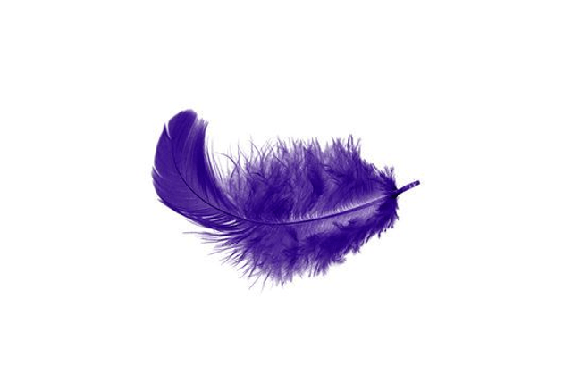 Boucles d'oreilles Plumes