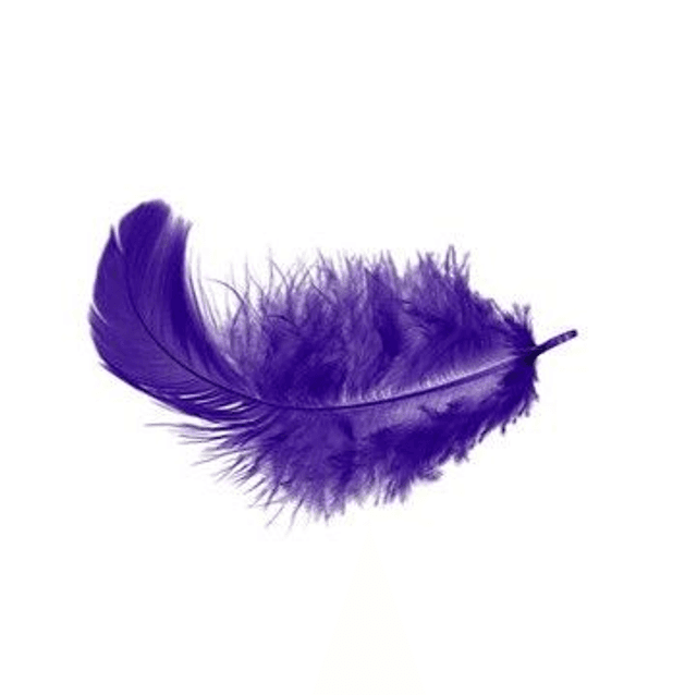 Collier petite Plume