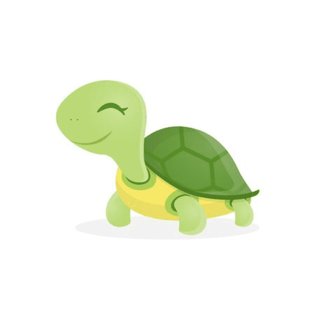 Puces d&#039;oreilles Tortue