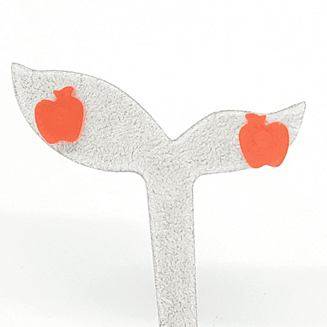Puces d&#039;oreilles Pommes