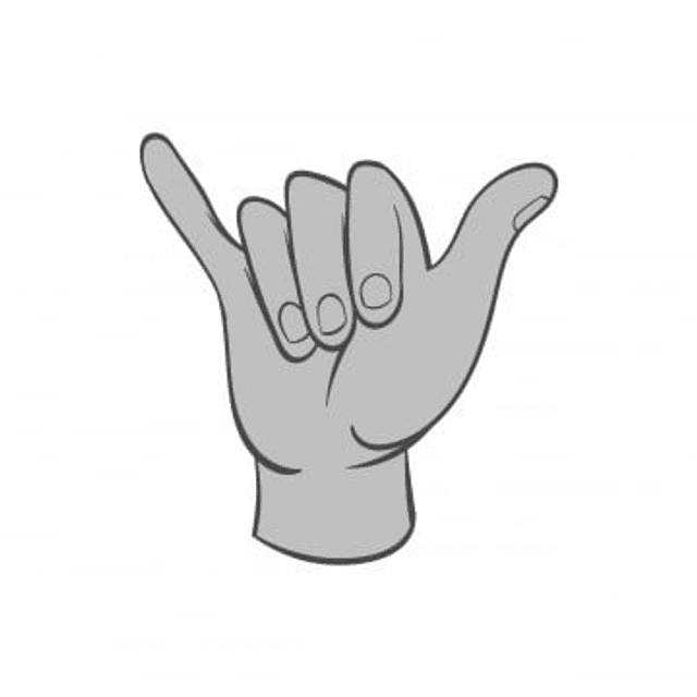 Porte-clé main &quot;Shaka&quot;
