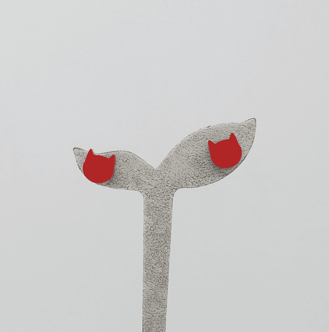 Puces d&#039;oreilles Tête de chat